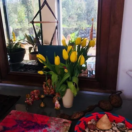Homestay 