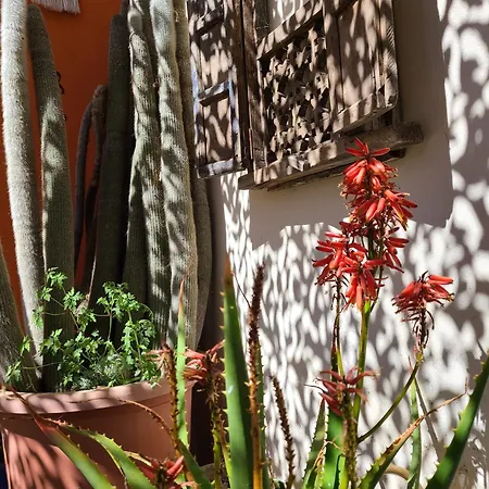 Jardins D'ailleurs Avec Piscine Et Terrasse ホームステイ *