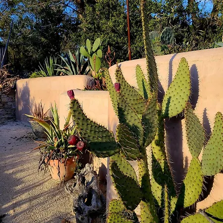 Jardins D'ailleurs Avec Piscine Et Terrasse ホームステイ *