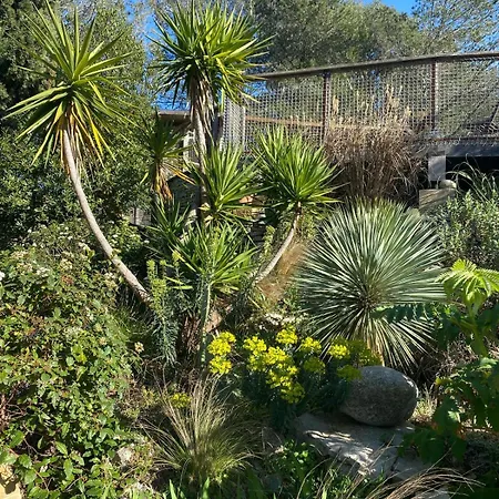 Jardins D'ailleurs Avec Piscine Et Terrasse *