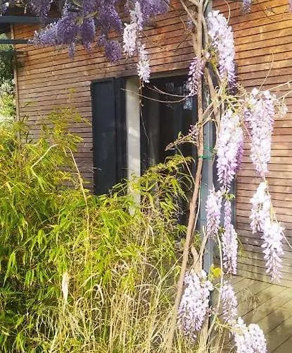 호텔 